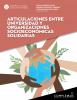 Portada Complexus 13